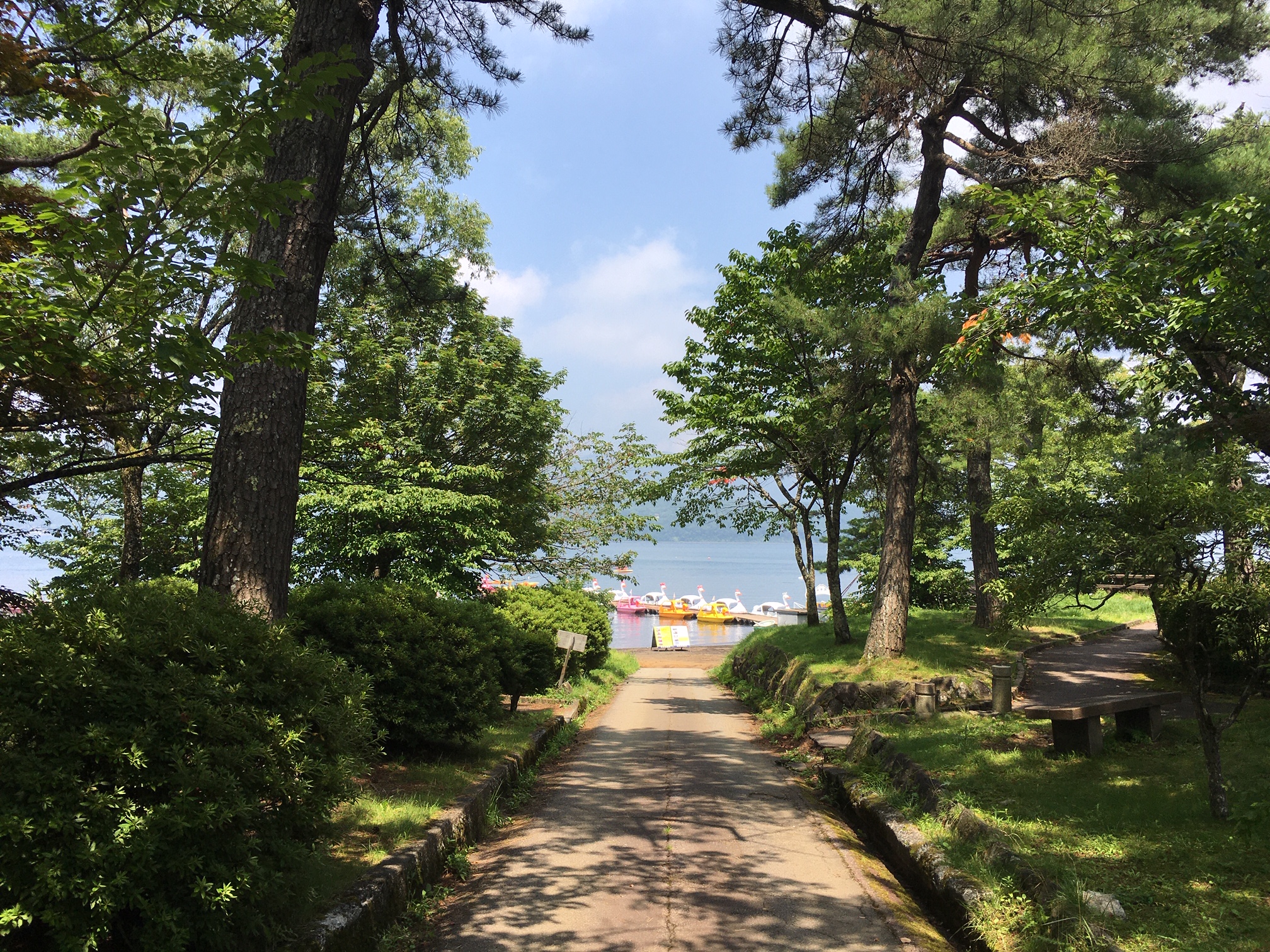 この夏、最も不快な一日…