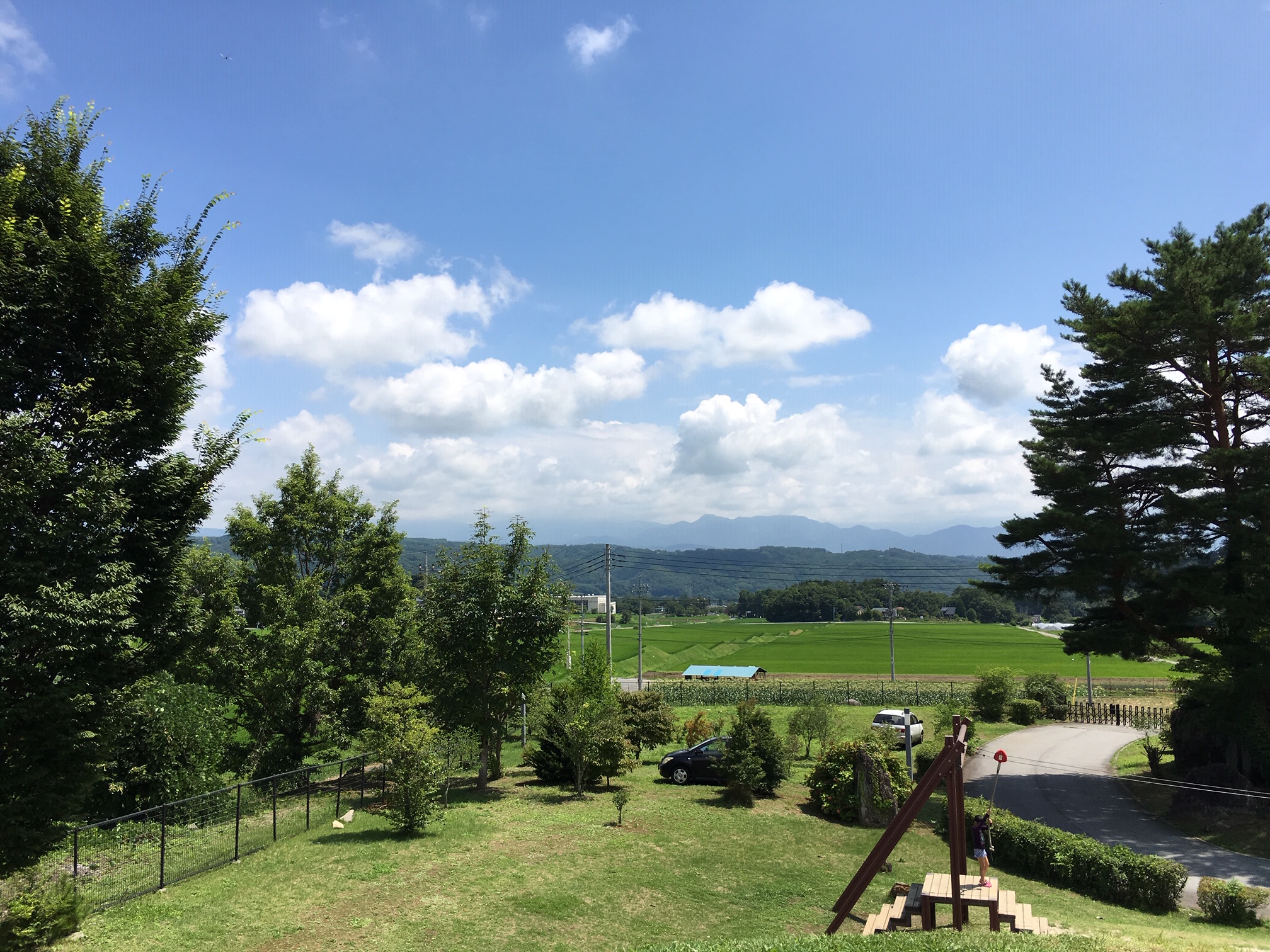 ただ、公園でぼーっとしたかっただけなのです…