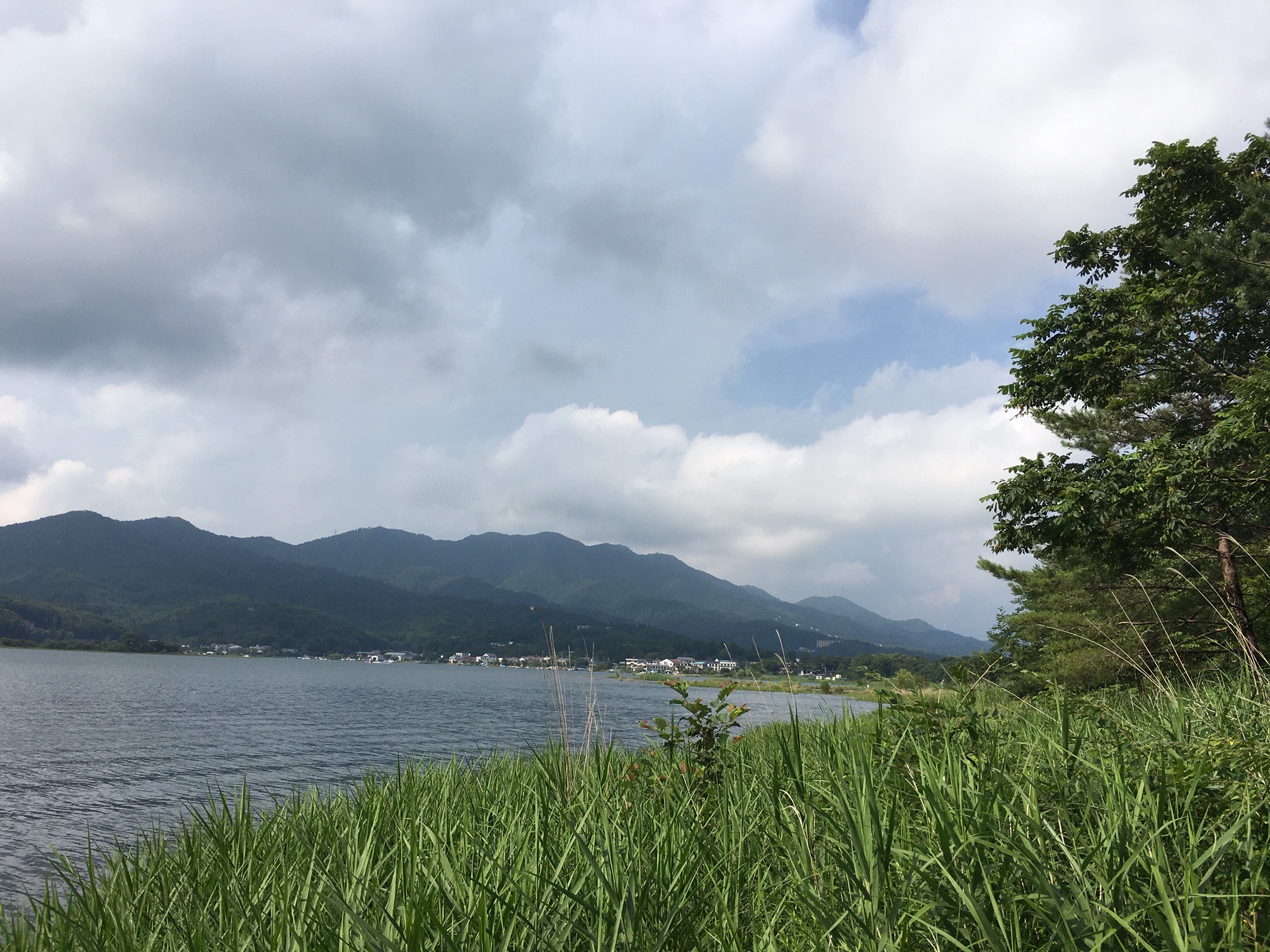 投資は本当に難しい…今日も修行中