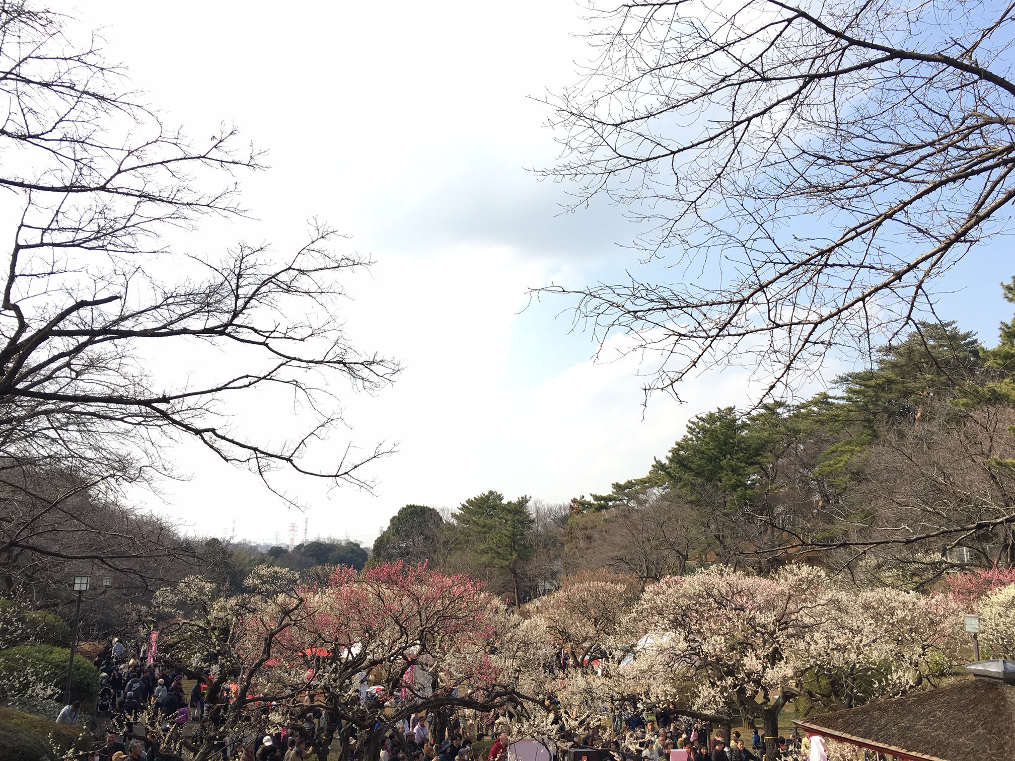 体中が痒い、、ムズムズする、、、