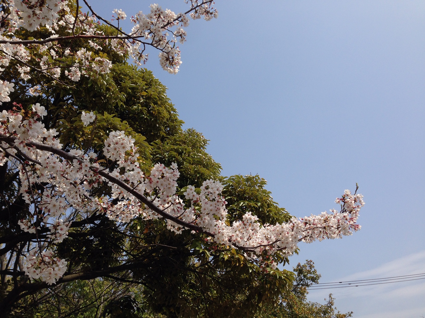 春休みの予定はお決まりですか～？