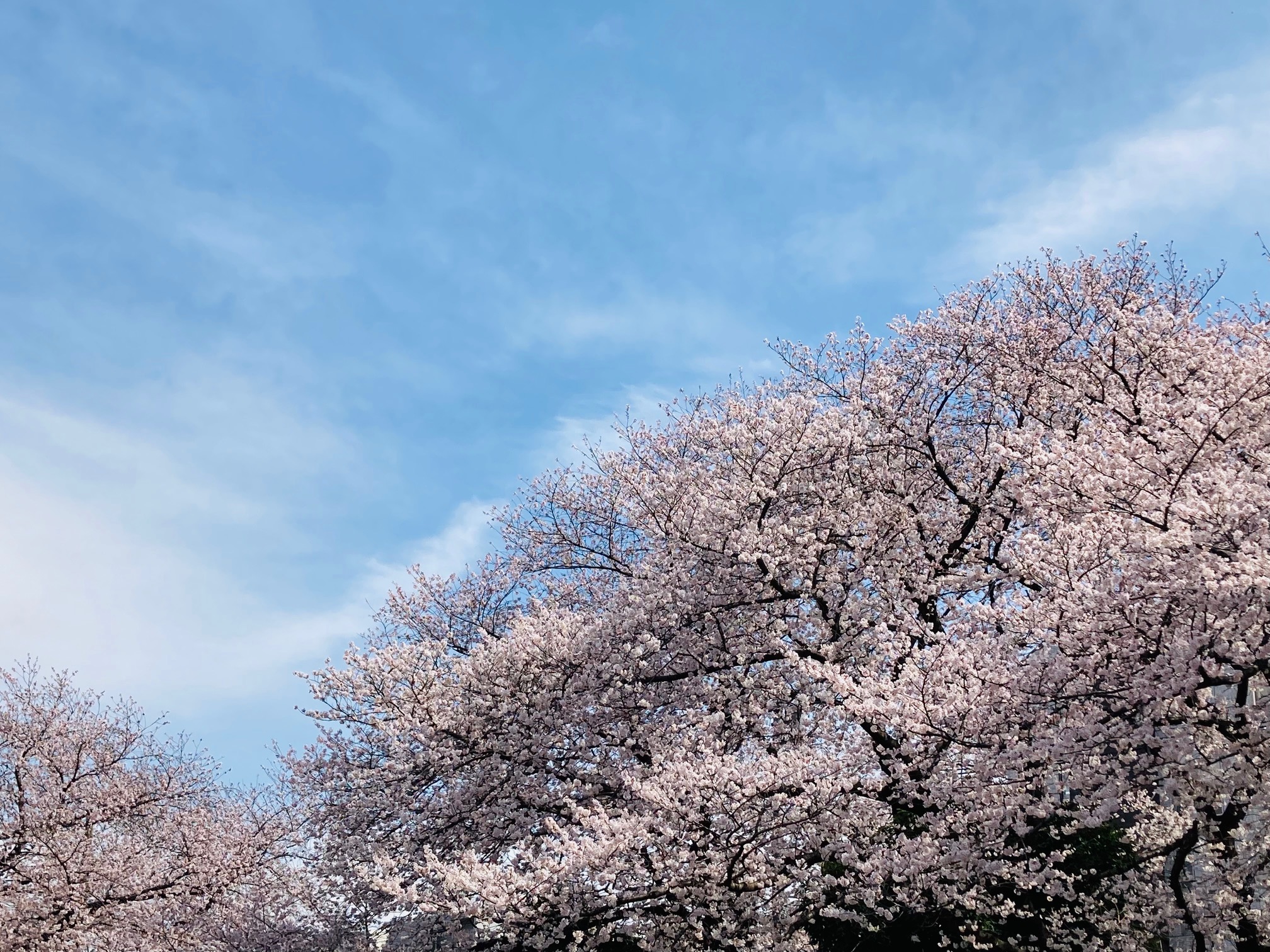 自分の人生を主体的に生きる